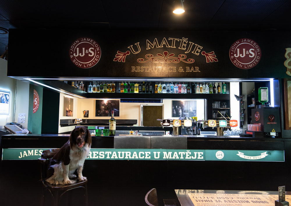 Bar U Matěje s pejskem sedícím na barové stoličce